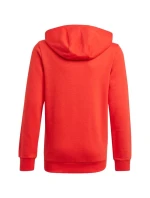 Dětská mikina Essentials Big Logo Hoodie Jr GN4037 - Adidas