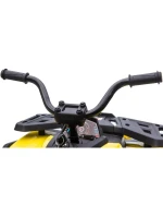 TRAPPER BATERIE QUAD ŽLUTÁ 1033013 TRAPPER BATERIE QUAD ŽLUTÁ 1033013