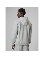 Pánská mikina s kapucí 4F 4FRMM00TSWSM3058-27M pánské