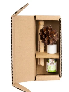 Pani Szyszka HORIZONTAL SINUSITIS set 1 x Pani Szyszka + 1 směs esenciálních olejů (LP-HORIZONTAL-SINUSITIS)