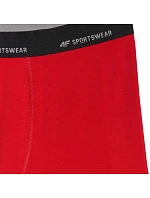 Pánské boxerky 4F M080 2-pack multicolor 4FWMM00UBXSM080 90S