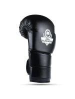 Boxerské rukavice 10oz - Eclipse - Origin Series