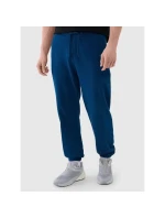 Kalhoty 4F M 4FWMM00TTROM1139-46S