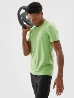 Pánské pravidelné rychleschnoucí tréninkové tričko 4F 4FWAW24TFTSM1003-42M