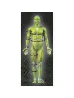 Vybrat kotníkovou ortézu T26-16687