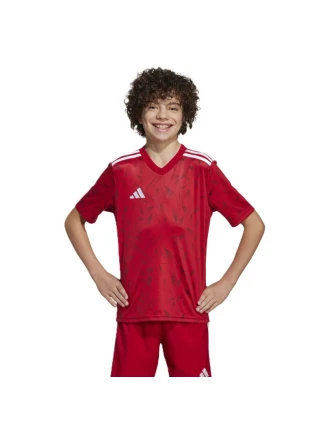 Tričko adidas Team Icon 25 Jr JM8362