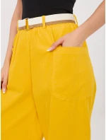 IT kalhoty SP FL9665.78 yellow