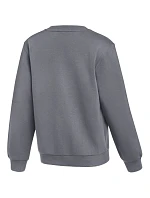 Nike Park 26 Fleece Crew Grey IB1188 071