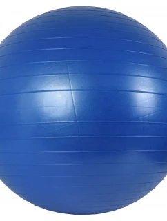 Gymball 65 cm + pumpa