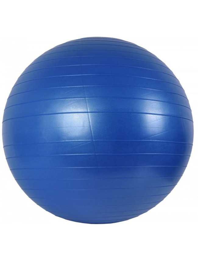 Gymball 65 cm + pumpa