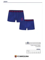 CHLAPECKÉ BOXERKY 232014