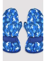 LYŽAŘSKÉ RUKAVICE RN046 LYŽAŘSKÉ RUKAVICE RN046