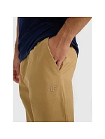 Pánské tepláky typu jogger 4F 4FRMM00TTROM1627-83S
