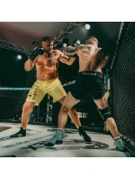 Boxerské rukavice 14 oz - Classic Black - Origin series