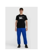 Pánské tričko s potiskem 4F 4FWAW25TTSHM3130-20S