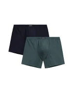 Pánské boxerky 2 pack 173 Long legs - Atlantic