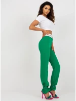 Kalhoty DHJ SP 6971.37P zelená