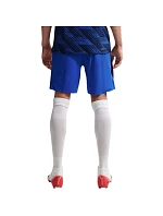 Pánské tréninkové šortky Nike France Dri-Fit Adv Elite modré IB4603 480