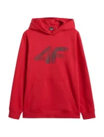 Mikina 4F M 4FWMM00TSWSM1766 062S pánské