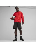 Mikina Puma Team Goal Casuals Hooded M 658595 01 pánské Mikina Puma Team Goal Casuals Hooded M 658595 01 pánské