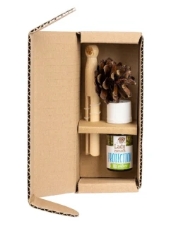 Sada Ms kužel HORIZONTAL PROTECTION 1 x Ms kužel + 1 směs esenciálních olejů (LP-HORIZONTAL-PROTECTION)