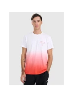 Pánské tričko s potiskem 4F 4FRAW25TTSHM3226-62S