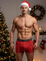 Boxerky C+3 art.VBE-740 Vánoce M-2XL