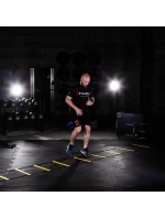 Koordinační žebřík 6m HMS Premium DK06