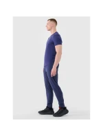 Pánské rychleschnoucí tréninkové kalhoty 4F 4FWSS25TFTRM0835-30M