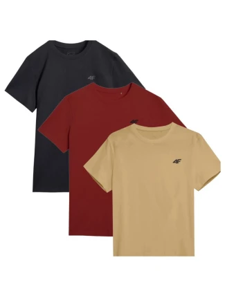 Trička 4F M 4FWSS25TTSHM3965-92S pánské