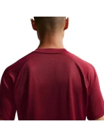 Nike Dri-Fit Park VIII pánské tričko bordó HV8173 677 pánské