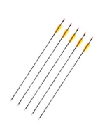 Šípy Poe Lang 28" ze skelných vláken - sada 5 ks (D-055-B3)