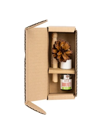 Pani Szyszka HORIZONTAL IMMUNITY set 1 x Pani Szyszka + 1 směs esenciálních olejů (LP-HORIZONTAL-IMMUNITY)