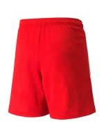 Šortky Puma teamLIGA Jr 704931 01