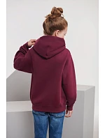 Russell Athletic 575B Dětská mikina s kapucí 10.575B burgundy Russell Athletic 575B Dětská mikina s kapucí 10.575B burgundy