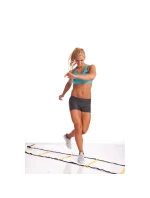 Žebřík pro rychlostní trénink Power BB 2403