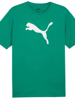 Puma Team Rise Logo Jersey Cotton M 658705 05 pánské
