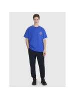 Pánské tričko oversize s potiskem 4F 4FWSS25TTSHM1979-36S