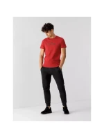 Tričko 4F M 4FSS23TTSHM539-62S pánské Tričko 4F M 4FSS23TTSHM539-62S pánské