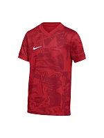 Tričko Nike Dri-Fit Precision VII FZ9332-100