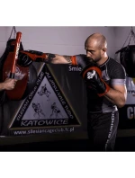 Boxerské rukavice 10oz - Blaze Red - Legacy Series