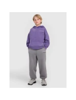 Chlapecké tepláky joggers 4F 4FJRAW25TTROM1528-24S