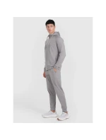 Pánské rychleschnoucí tréninkové kalhoty 4F 4FWMM00TFTRM1067-25M