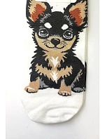 Nohy WiK Xintao 3502 wz.33 35-42