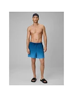 Pánské plážové boardshortky 4F 4FWSS26UBDSM168-46S