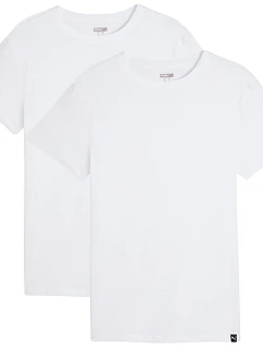 Pánské tričko Puma Everyday Crew Neck Tee, 2 ks, bílé, 947245 02