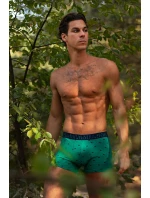 Pánské šortky M-1056SZG 2-pack