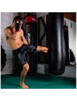 Boxerské rukavice 10oz - Blaze Red - Legacy Series