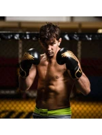 Boxerské rukavice 8oz - Hawk - Origin Series