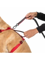 Běžecký opasek s vodítkem Trespaws Chester